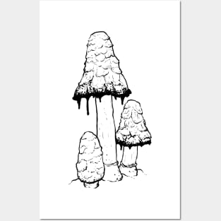 Ink Cap Mushrooms Posters and Art